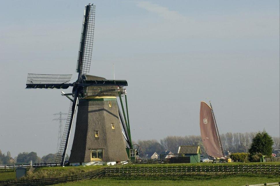Glamping De Hof Van Eeden Warmond Exteriör bild